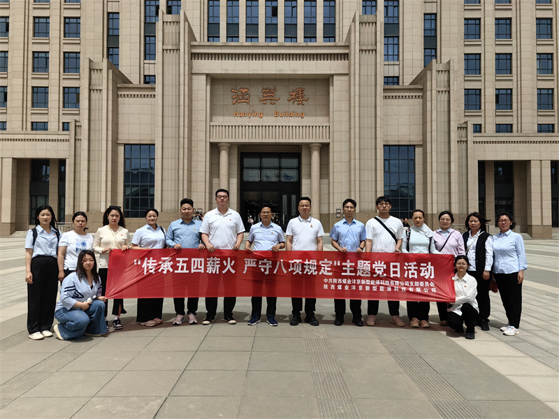 灃京公司黨支部開展“傳承五四薪火 強化作風建設(shè)”主題黨日活動01.png